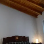 Panoramic Apartment *